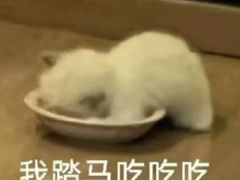 -CoCo都可(小吕宋店)