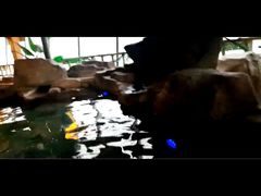 -汤乐汇•足道•SPA生活馆