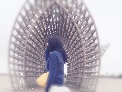 -南汇嘴观海公园