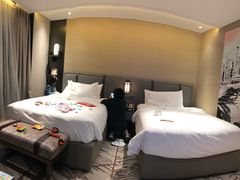 -新加坡瑞士史丹福酒店