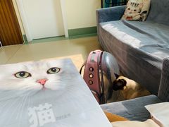 -美联众合动物医院·24h京西诊疗中心