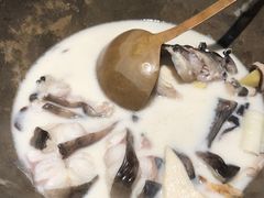 -云海肴云南菜·蒸汽石锅鱼(青岛万象城店)