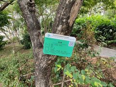 -广东中医药博物馆