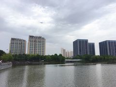 -南翔镇银翔湖公园
