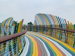 -西山漾湿地公园