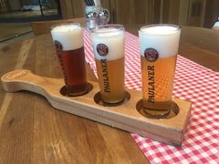 -Paulaner·德国帕拉娜自酿啤酒餐厅(海上世界店)