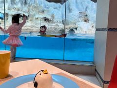 -帝企鹅自助餐厅•儿童岛•真企鹅(长隆企鹅酒店)