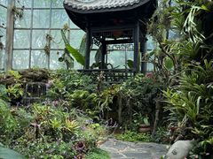 -东莞植物园