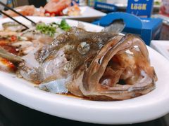 鲜青斑-驻海渔市(置信店)