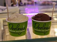 -Dooley's Premium Ice Cream