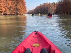 -上海海湾国家森林公园