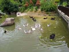 -厦门悦华酒店