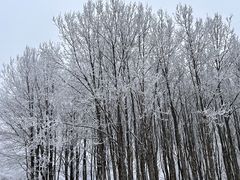 -太子岭滑雪场