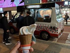 -富豪雪糕车流动点(尖沙咀店)