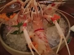 -普朗姆生蚝吧(原建国路店)