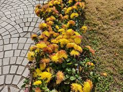 -浙江省博物馆(孤山馆区)