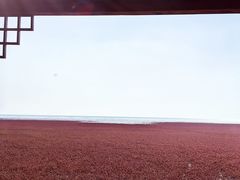 -红海滩国家风景廊道