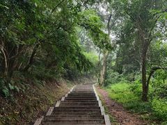 -青龙山国家森林公园