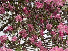 -复兴门(地铁站)