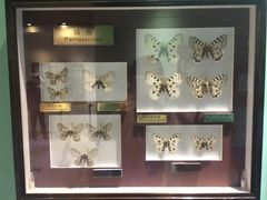 -上海昆虫博物馆