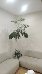 -HEYAN荷妍专业脱毛连锁机构