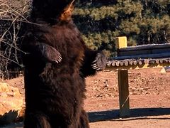 -沈阳森林动物园