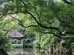 -叶家花园