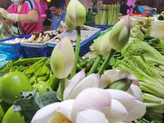 -花园菜市场