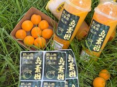 -鲜芒多·杨枝甘露(摩尔城A座10楼店)