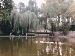 -西安市长乐公园