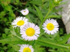 -镇江市南山风景名胜区竹林景区