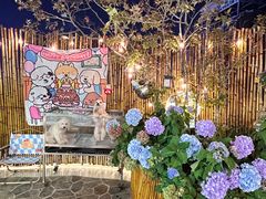 -逗柴町空中花园·雪橇三傻·柴犬柯基狗咖·猫咖·爬宠