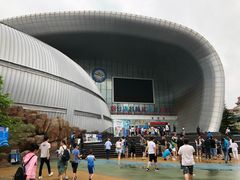 -烟台海昌鲸鲨海洋公园