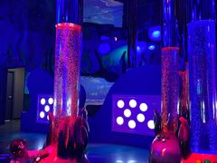 -沈阳海洋探索中心