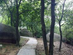 android_upload_pic-火炉山森林公园