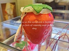 -红星前进面包牛奶公司(君太店)