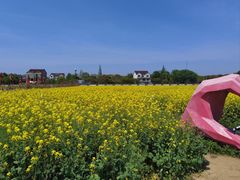 -西山漾湿地公园