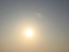 -上海棕榈滩海景酒店