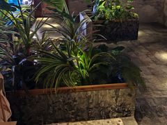 -浅深(北京北四环精品店)