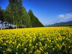 -扁都口生态休闲旅游区