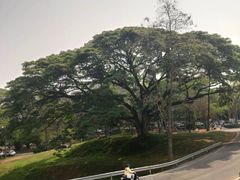 -清迈夜间动物园