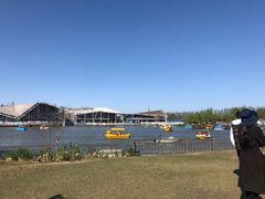 -上海长兴岛郊野公园