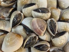 海白螺-老何家后安粉·糟粕醋海鲜火锅(三亚湾椰梦长廊店)