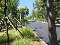-绿堤公园