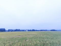 -中国天府农业博览园