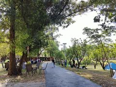 -两河城市森林公园