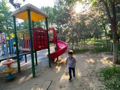 -大兴滨河森林公园