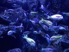 -成都浩海立方海洋公园