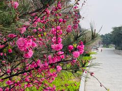 -天津盘山风景名胜区