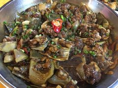 -鸽王世家(东华东路店)